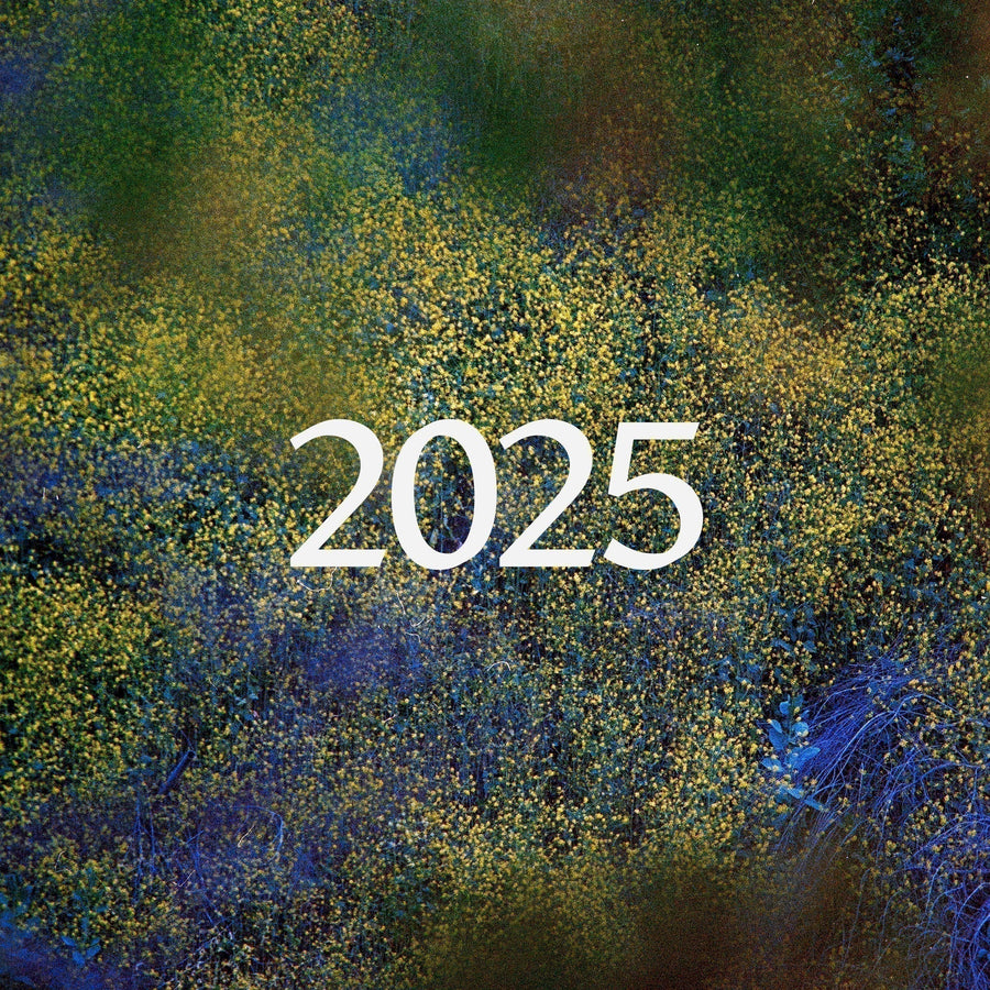 2025 Year in Review.