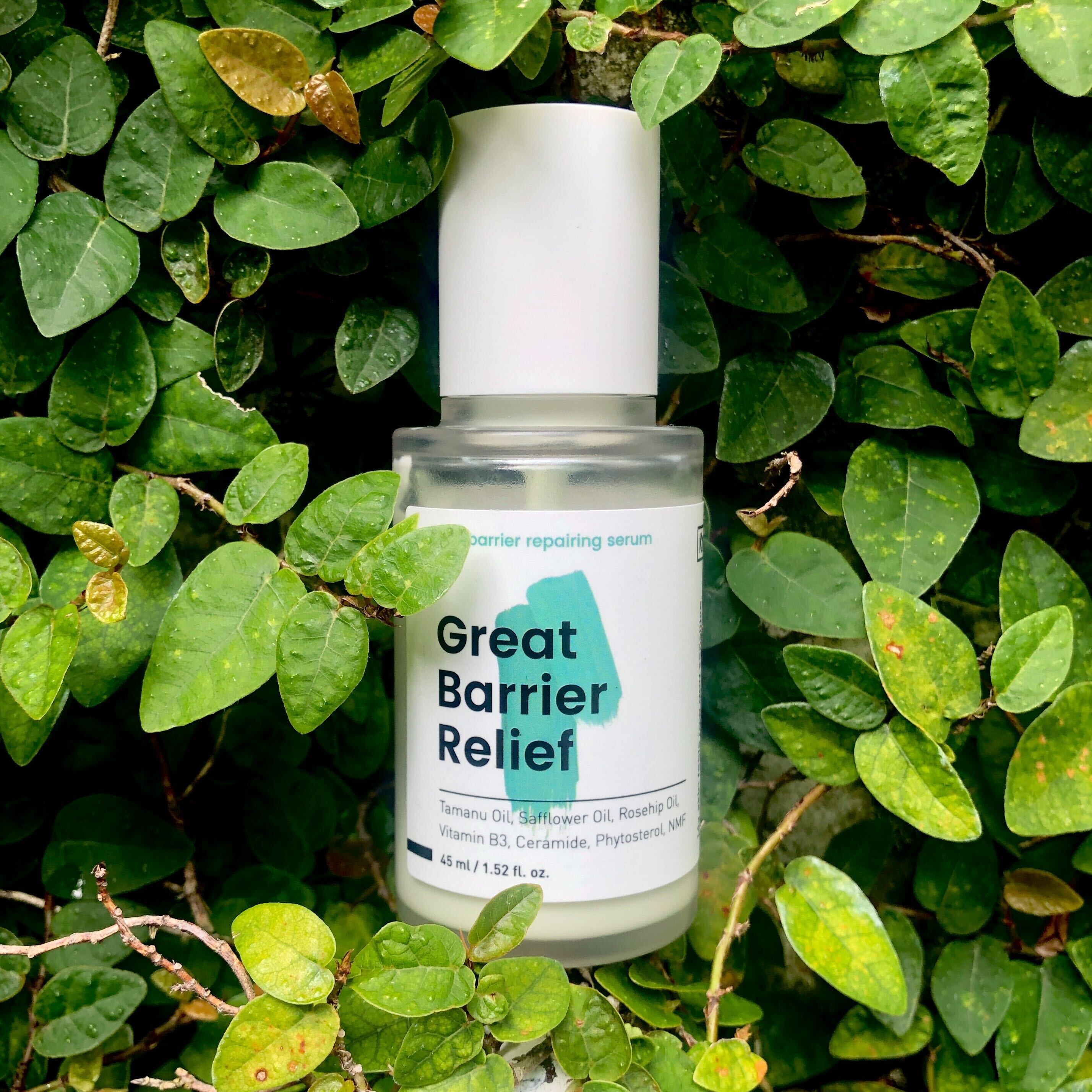 Our Favorite Products: June 2020 Edition