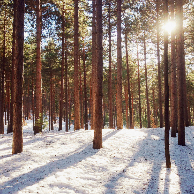 The Playlist: Non-Christmas Music For The Holidays
