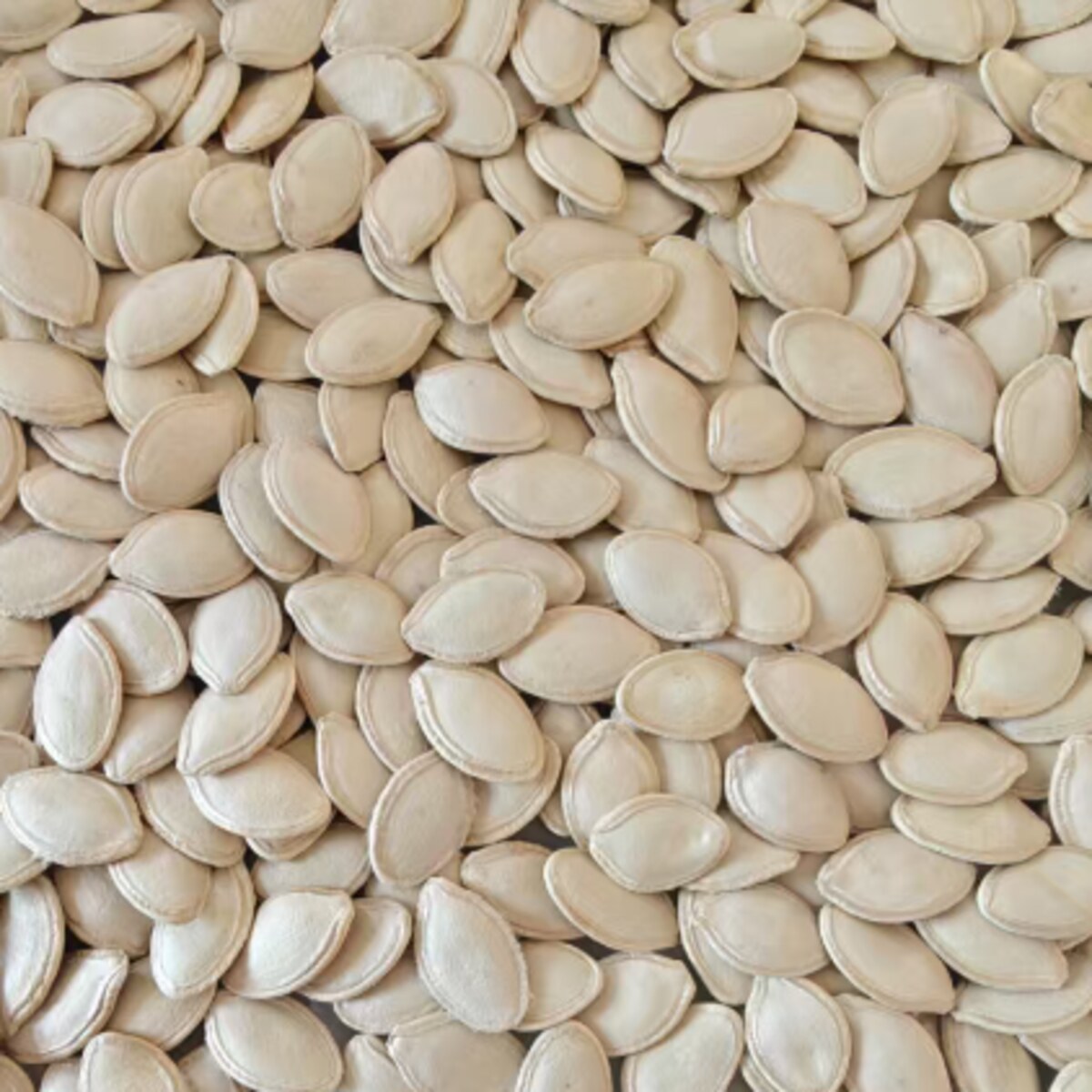 Pumpkin Seeds