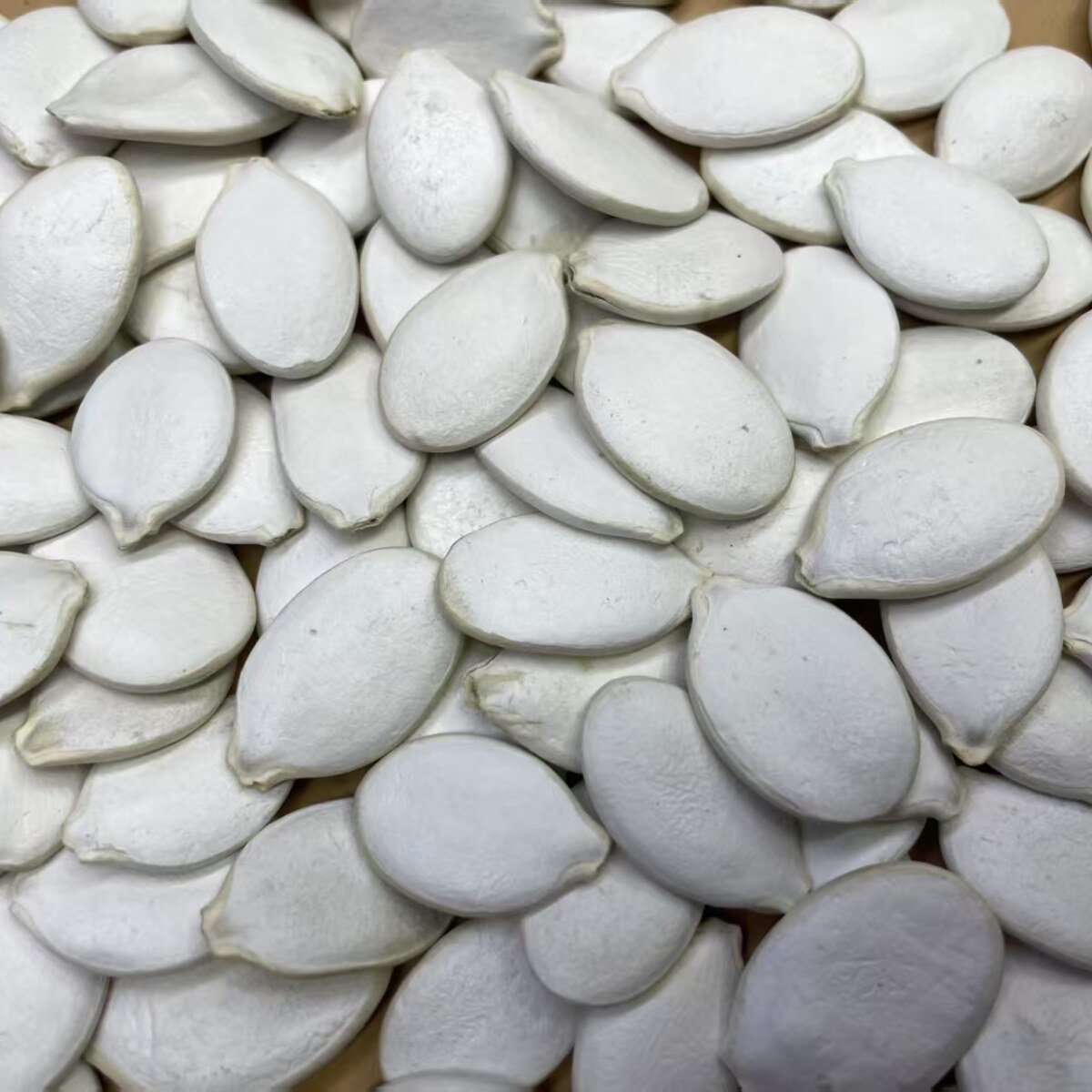 Snow White Pumpkin Seeds