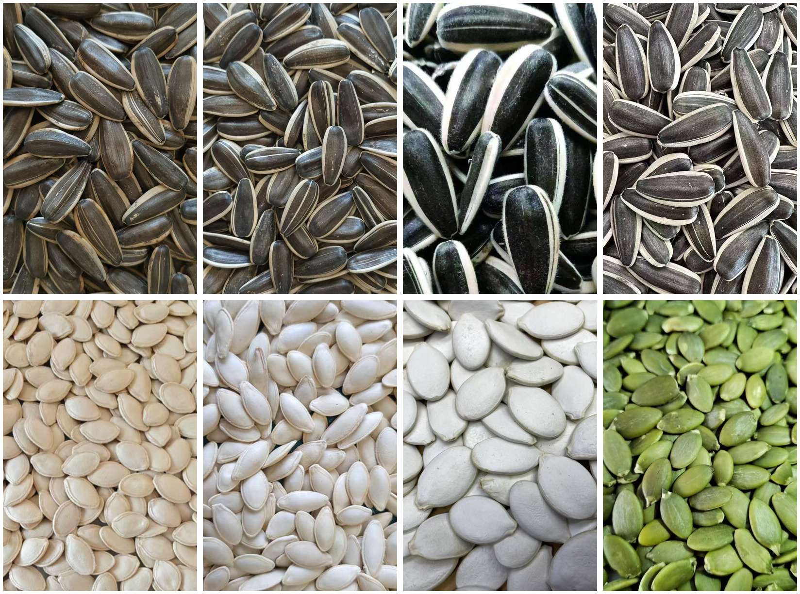 Aichao sunflower and pumpkin seed products