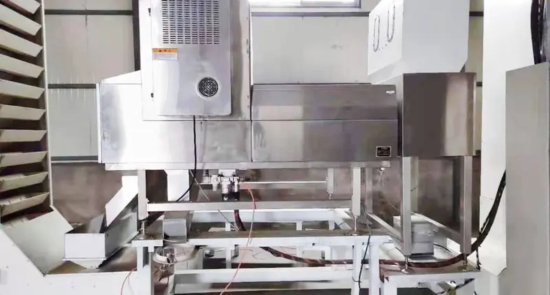 X-Ray Inspection