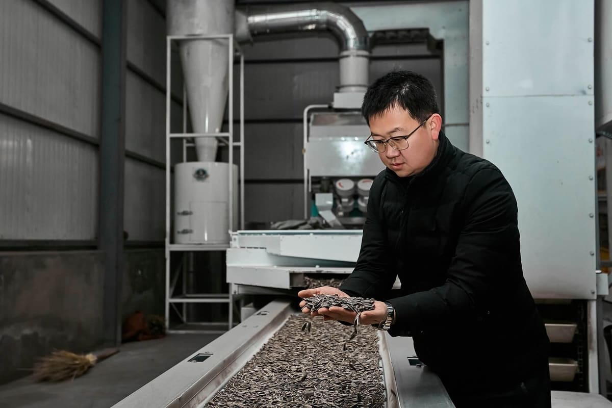 Hands-on quality inspection