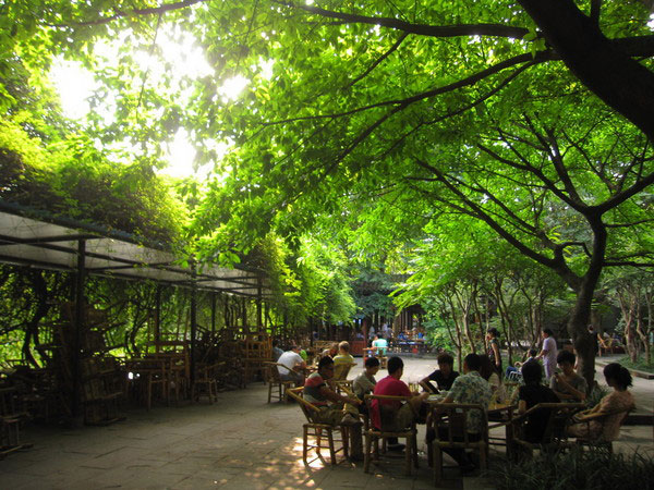 china green park daily leisure
