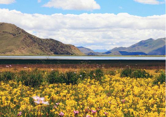 Yamdrok Lake