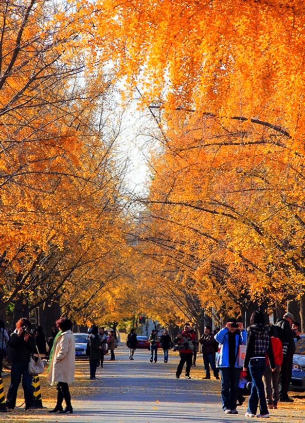 Late Fall in Beijing