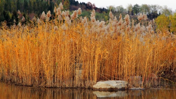 Late Fall in Beijing