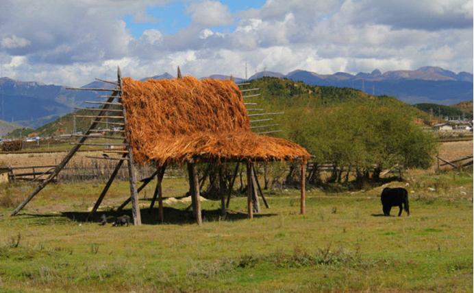 Dukezong Ancient Town