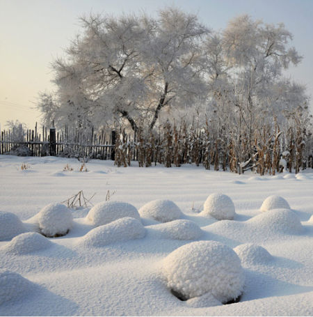 Jilin Fog Glaze