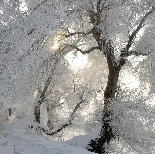 Jilin Fog Glaze