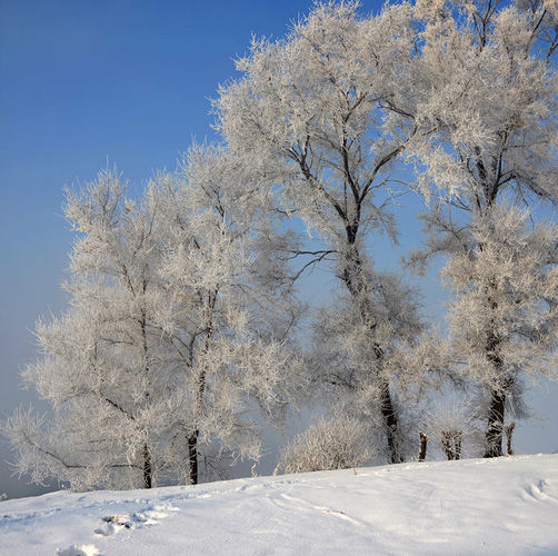 Jilin Fog Glaze