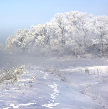 Jilin Fog Glaze
