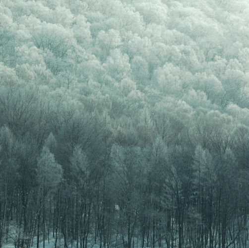 Jilin Fog Glaze