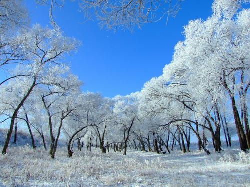 Jilin Fog Glaze