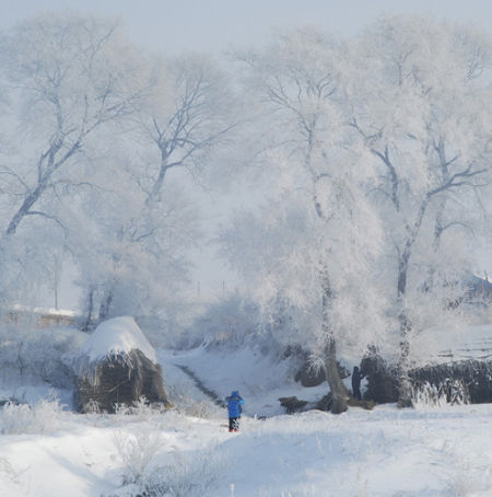 Jilin Fog Glaze