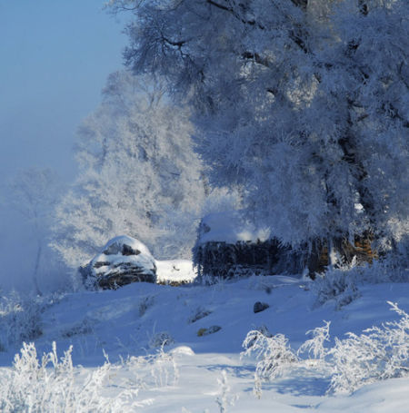 Jilin Fog Glaze