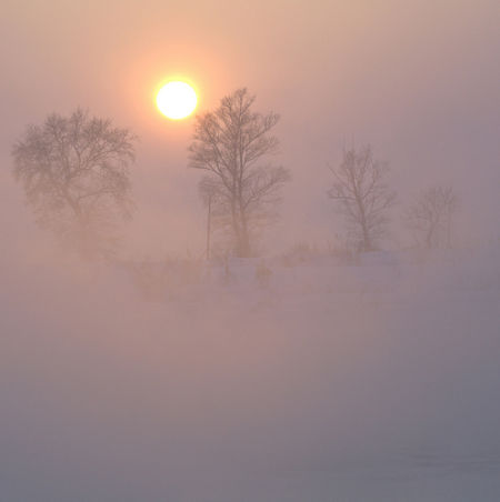 Jilin Fog Glaze