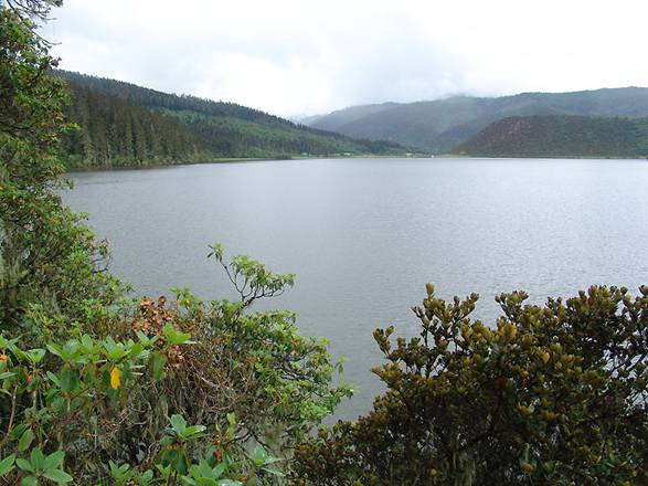 trip to shangri-la