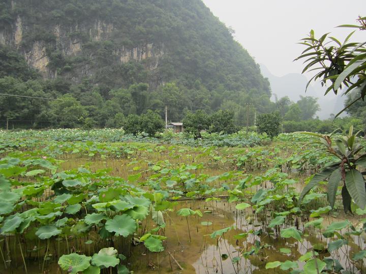 yangshuo countryside biking