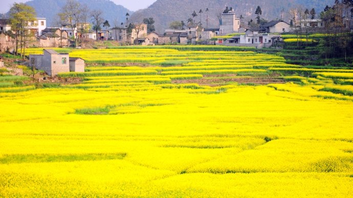 My Impressive Luoping Tour in Spring