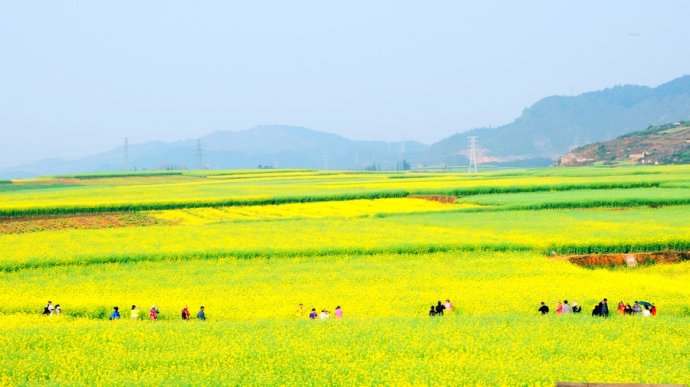 My Impressive Luoping Tour in Spring
