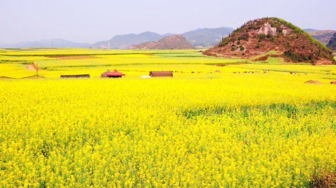 My Impressive Luoping Tour in Spring