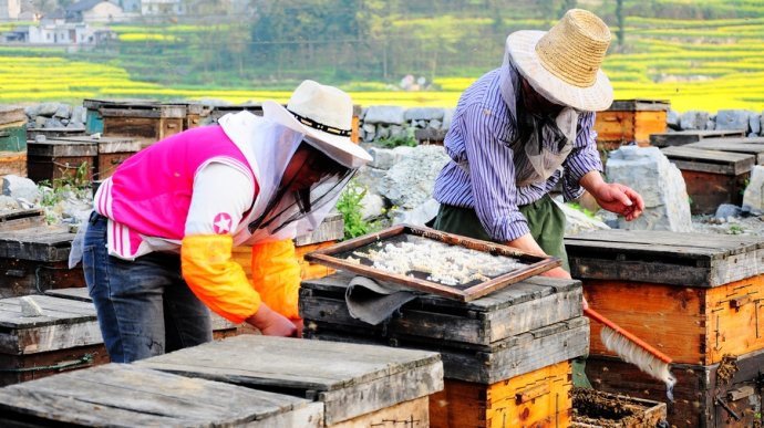 My Impressive Luoping Tour in Spring