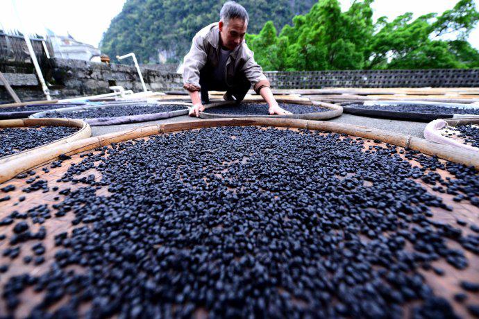 Food Guide along the Guiyang-Guangzhou High-speed Railway