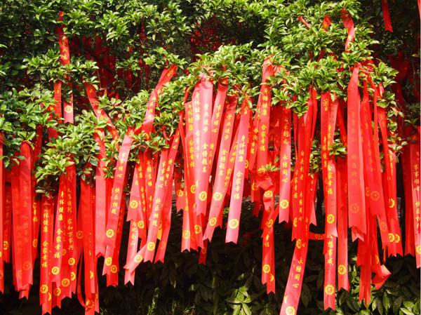 A Trip to Nanjing in June