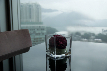 Fall in love with Hong Kong