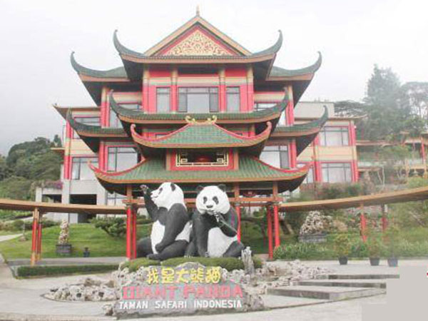 panda zoo