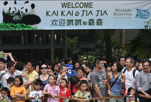 panda zoo in singapore
