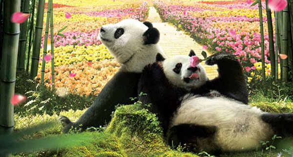 panda zoo in south korea