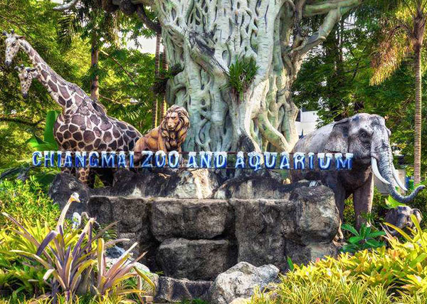 panda zoo in thailand