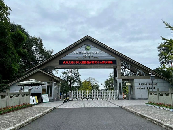 Yaan Base of CCRCGP