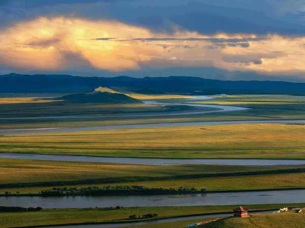 Yellow River Delta Wetland