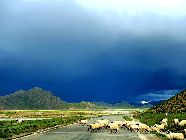 Top 10 Most Beautiful Highways in China - Qinghai-Tibet Highway