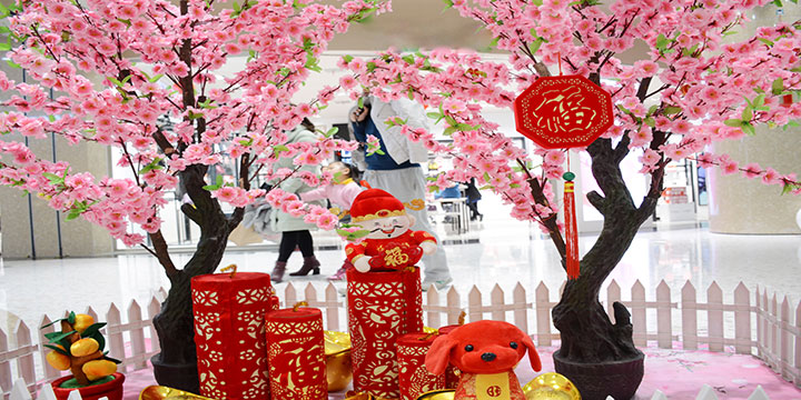 Lucky plants and flowers for Chinese New Year