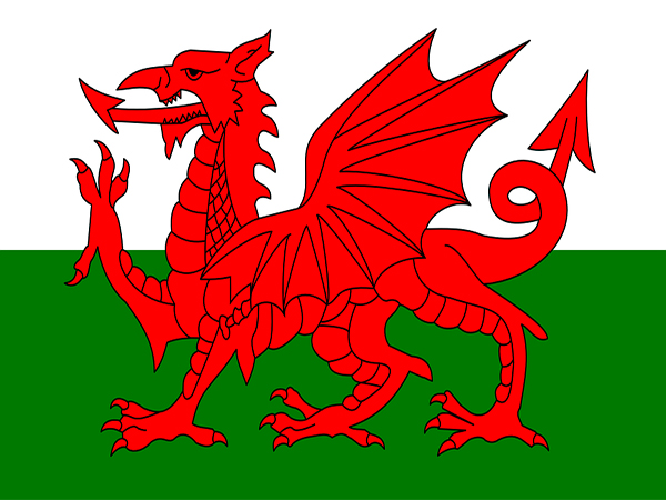 dragon on flags