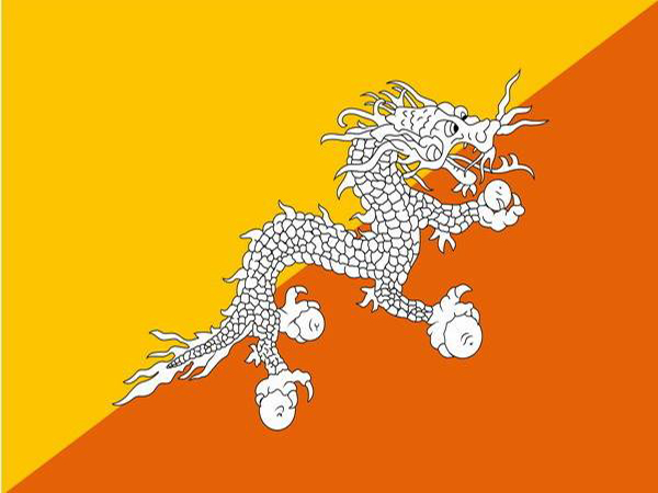 dragon on flags