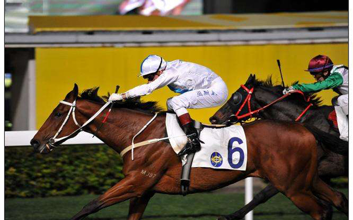 hong kong chinese new year horse racing