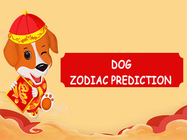 red dog prediction red dog prediction