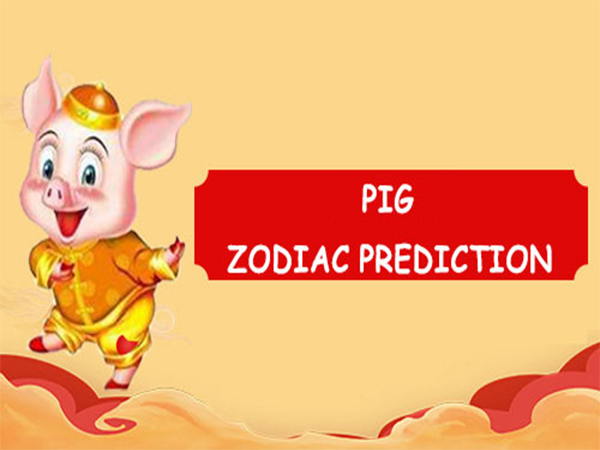 zodiac pig red prediction zodiac pig red prediction