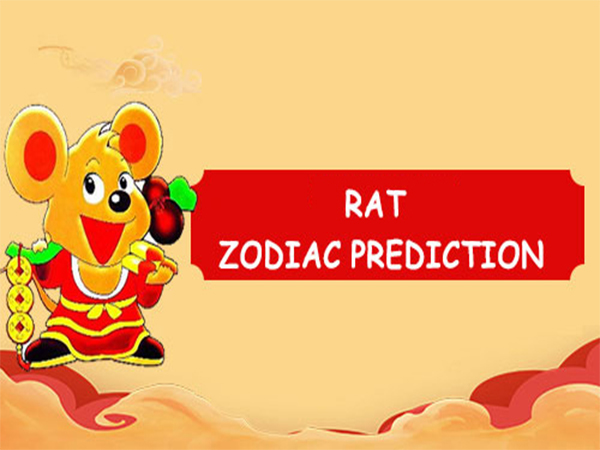 red rat prediction red rat prediction