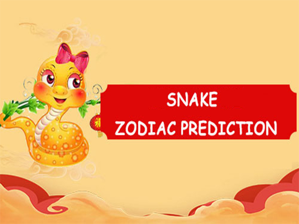 red snake prediction red snake prediction