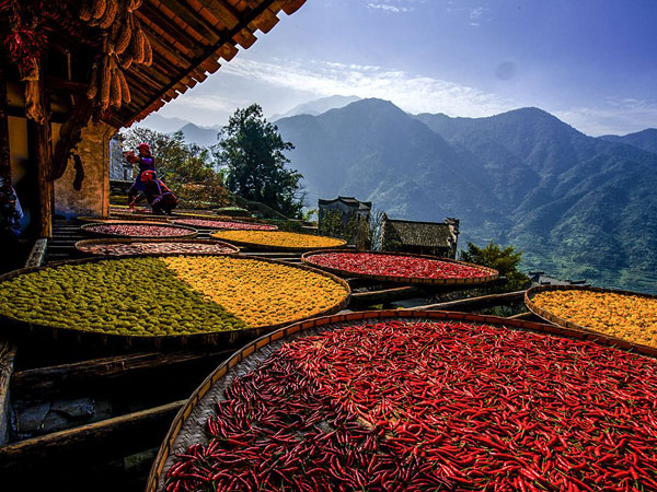 double ninth festival