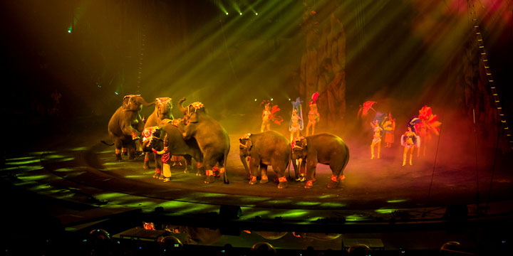 Chimelong international circus