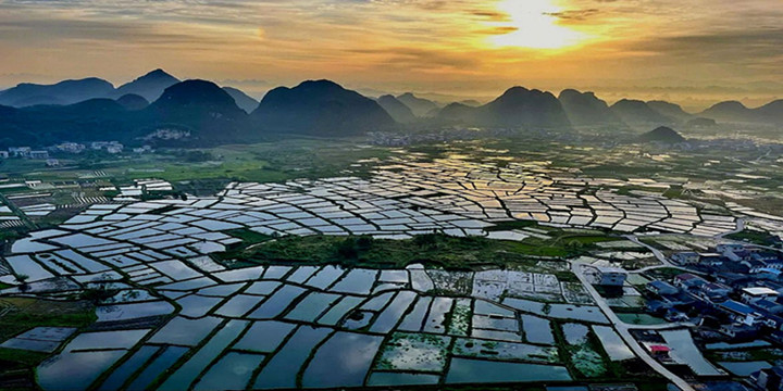 Mirror Like Rice Paddies