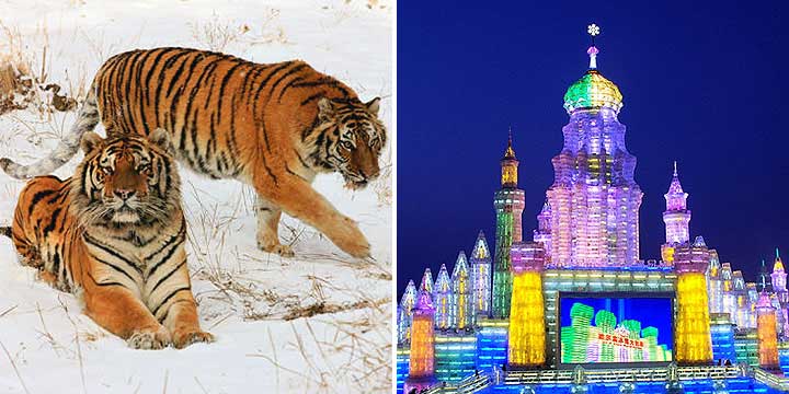 Harbin Ice and Snow World